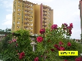 Satılık / Daire